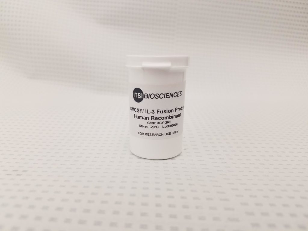 Proteins and Antibodies